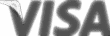 Логотип Visa